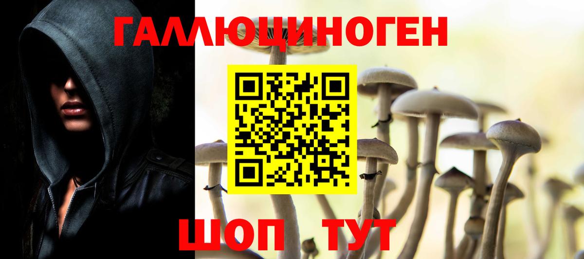 Галлюциногенные грибы Magic Shrooms  Галлюциногенные грибы мицелий  Вход с VPN  Междуреченск 